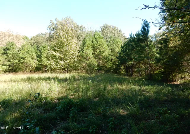 Homes for sale in Senatobia, MS | Lot 8 N Crockett Rd, Senatobia, MS 38668 | MLS# 4128839