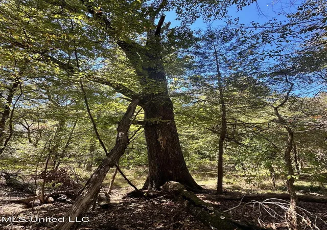 Land for sale at St Augustine Dr, Madison, MS 39110 | MLS# 4129175