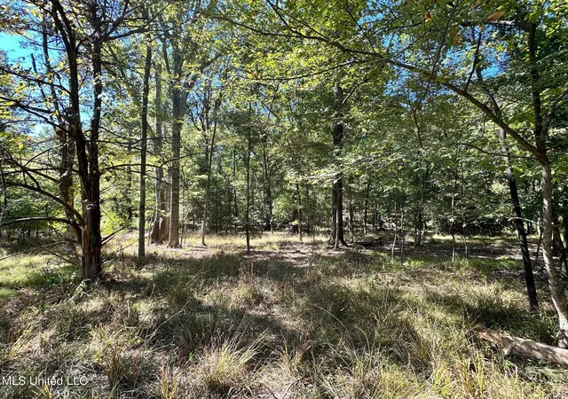 Photo 2 of Land for sale at St Augustine Dr, Madison, MS 39110 | MLS# 4129175 | Listing updated on 2026-10-16