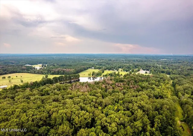Photo 3 of Land for sale at 10083 Ms 468, Pearl, MS 39208 | MLS# 4129219 | Listing updated on 2026-10-14