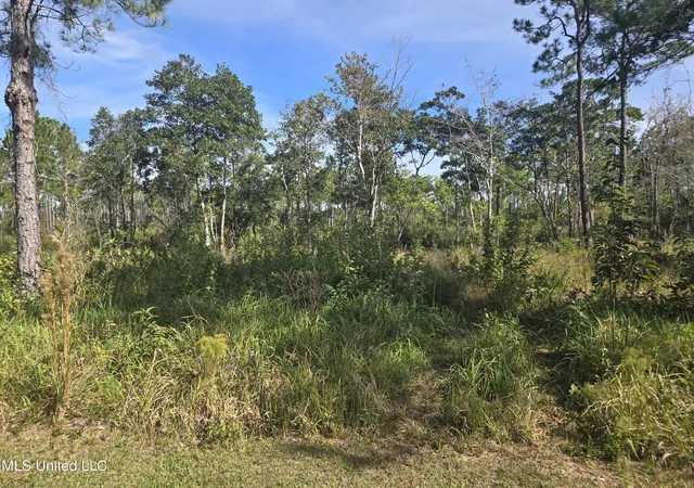 Photo 3 of Land for sale at Pinehaven Dr, Ocean Springs, MS 39564 | MLS# 4129553 | Listing updated on 2026-08-25