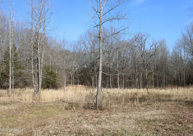 Homes for sale in Senatobia, MS | 5 Hollow Crossing Cvs, Senatobia, MS 38668 | MLS# 4129640