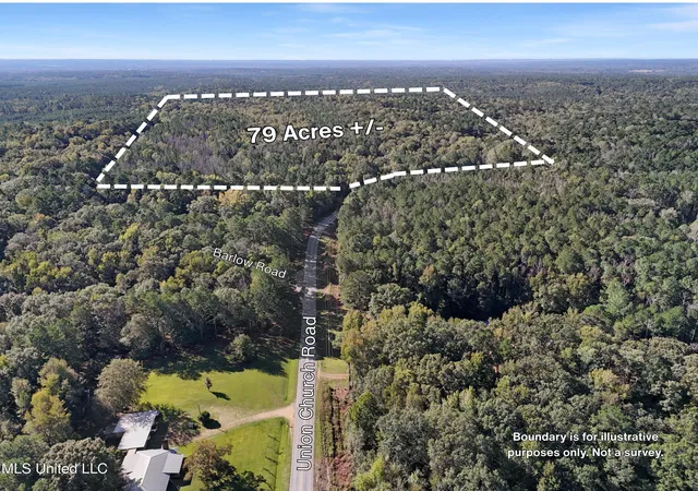Homes for sale in Meadville, MS | Union Church Rd, Meadville, MS 39653 | MLS# 4129958