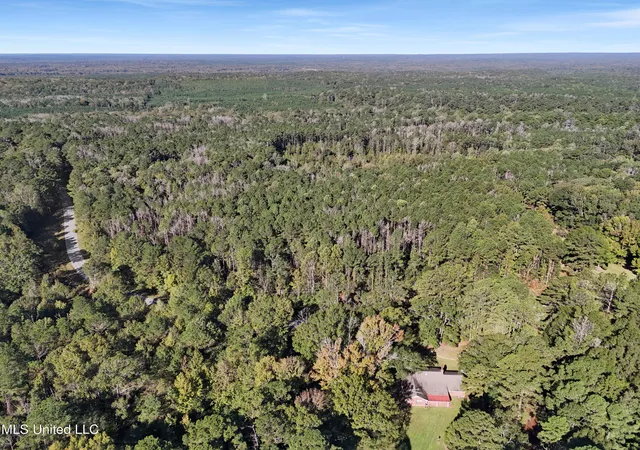 Homes for sale in Meadville, MS | Union Church Rd, Meadville, MS 39653 | MLS# 4129958