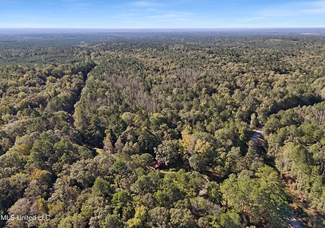Homes for sale in Meadville, MS | Union Church Rd, Meadville, MS 39653 | MLS# 4129958