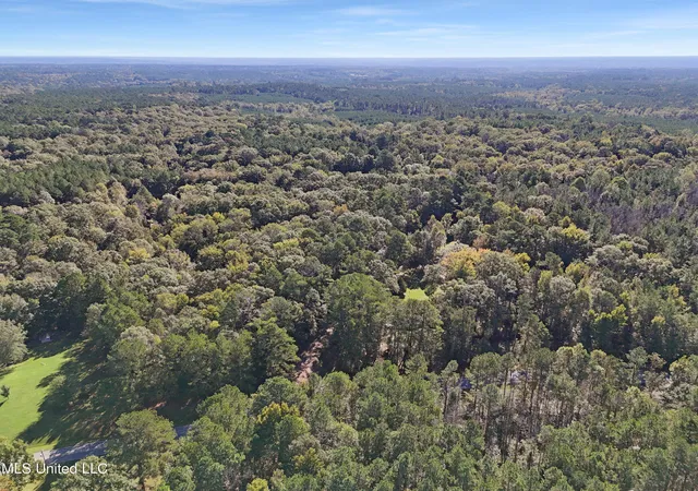 Homes for sale in Meadville, MS | Union Church Rd, Meadville, MS 39653 | MLS# 4129958