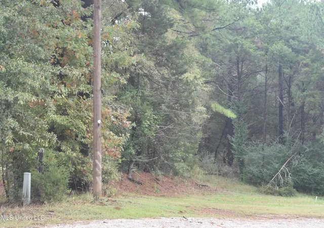 Photo 1 of Land for sale at 10779 S Bethel Rd, Olive Branch, MS 38654 | MLS# 4129888 | Listing updated on 2026-08-03