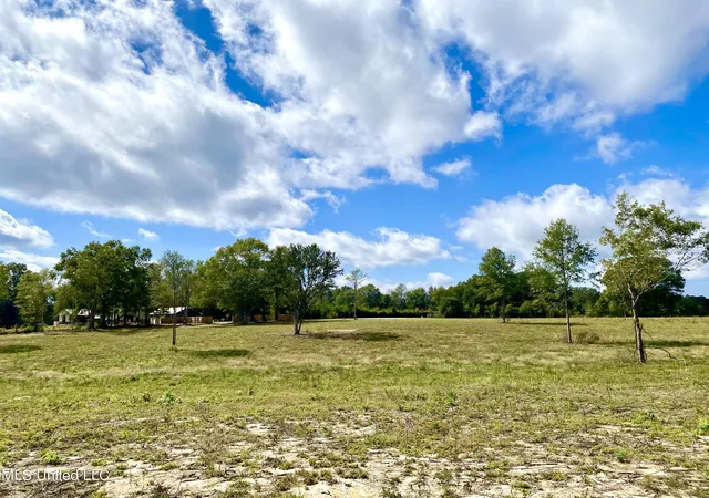 Photo 3 of Land for sale at Carey Byrd Rd, Carriere, MS 39426 | MLS# 4129941 | Listing updated on 2026-04-23
