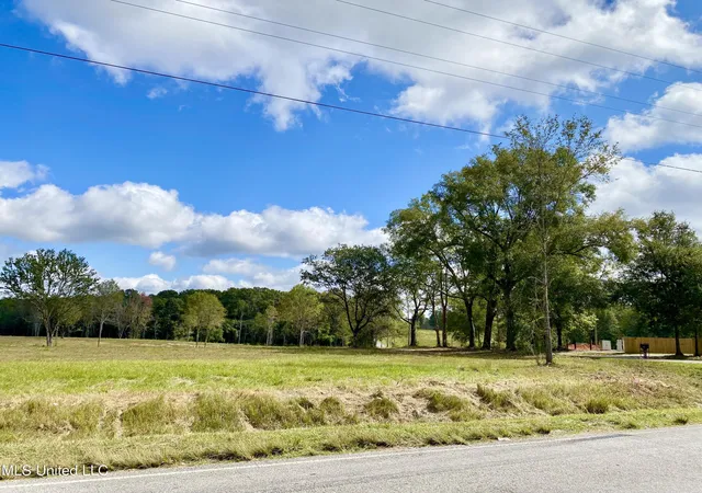 Photo 3 of Land for sale at Carey Byrd Rd, Carriere, MS 39426 | MLS# 4129941 | Listing updated on 2026-04-23