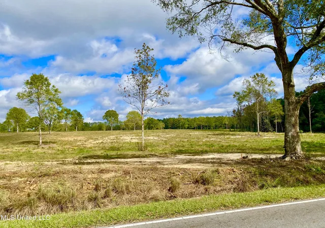 Photo 3 of Land for sale at Mcneil Henleyfield Rd, Carriere, MS 39426 | MLS# 4129942 | Listing updated on 2026-04-23