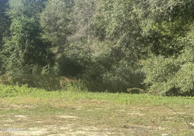 Photo 1 of Land for sale at No E Integrity Rd #NO, Mc Comb, MS 39648 | MLS# 4130022 | Listing updated on 2026-03-30