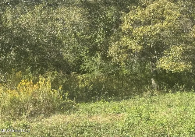 Photo 2 of Land for sale at No E Integrity Rd #NO, Mc Comb, MS 39648 | MLS# 4130022 | Listing updated on 2026-03-30