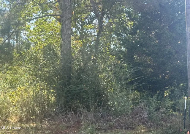 Photo 3 of Land for sale at No E Integrity Rd #NO, Mc Comb, MS 39648 | MLS# 4130022 | Listing updated on 2026-03-30