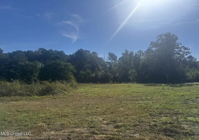 Photo 1 of Land for sale at Integrity Rd, Mc Comb, MS 39648 | MLS# 4130045 | Listing updated on 2026-03-30