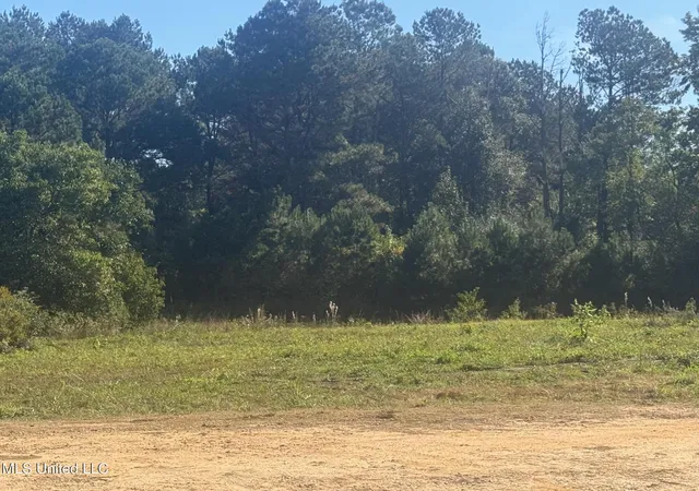 Photo 2 of Land for sale at Integrity Rd, Mc Comb, MS 39648 | MLS# 4130045 | Listing updated on 2026-03-30