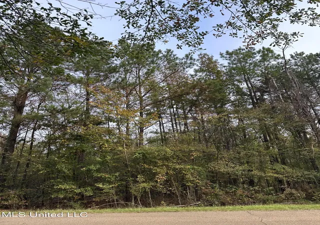 Photo 2 of Land for sale at Mcraven Rd, Clinton, MS 39056 | MLS# 4131066 | Listing updated on 2026-08-27