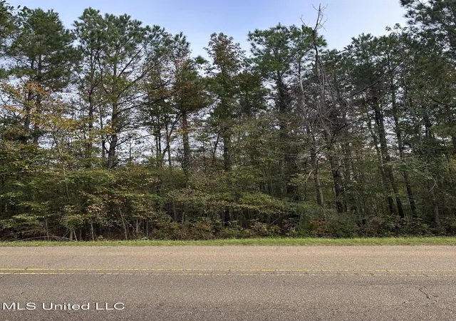 Photo 3 of Land for sale at Mcraven Rd, Clinton, MS 39056 | MLS# 4131066 | Listing updated on 2026-08-27