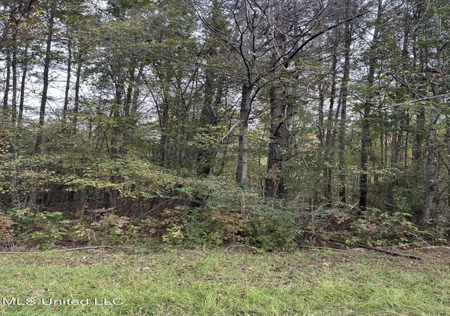 Photo 3 of Land for sale at Mcraven Rd, Clinton, MS 39056 | MLS# 4131066 | Listing updated on 2026-08-27