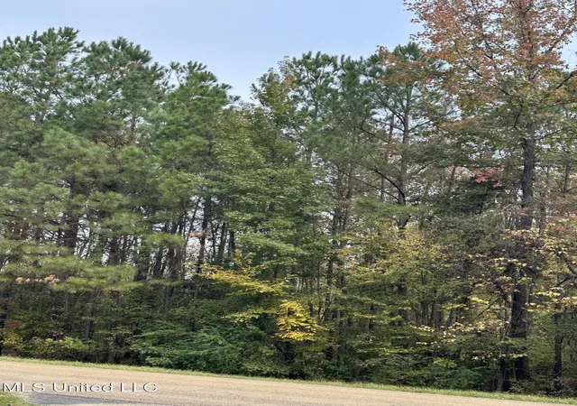 Photo 4 of Land for sale at Mcraven Rd, Clinton, MS 39056 | MLS# 4131066 | Listing updated on 2026-08-27