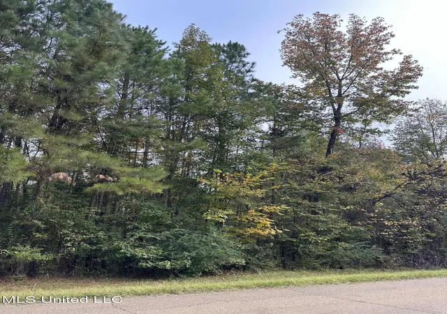 Photo 1 of Land for sale at Mcraven Rd, Clinton, MS 39056 | MLS# 4131066 | Listing updated on 2026-08-27