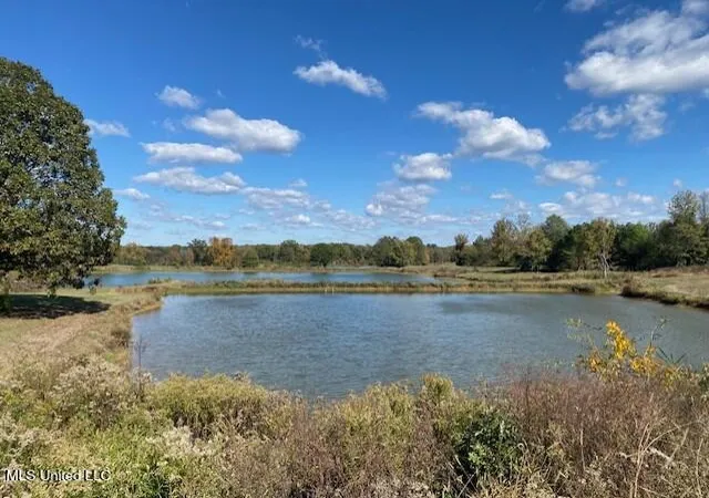 Photo 1 of Land for sale at 6183 Yellowdog Rd, Senatobia, MS 38668 | MLS# 4130304 | Listing updated on 2026-03-30