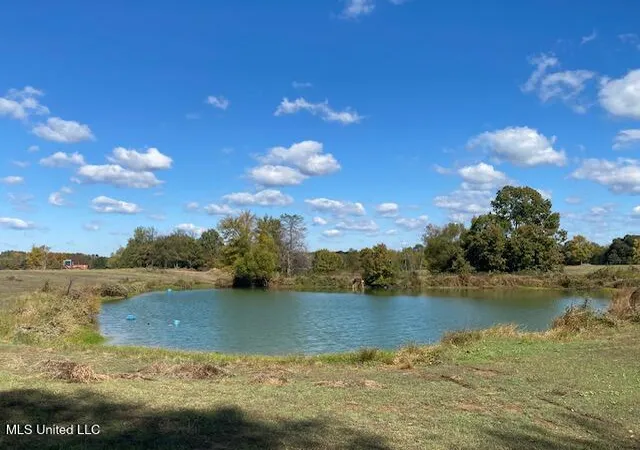 Photo 3 of Land for sale at 6183 Yellowdog Rd, Senatobia, MS 38668 | MLS# 4130304 | Listing updated on 2026-03-30