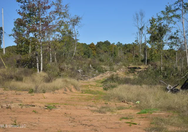 Homes for sale in Holly Springs, MS | 4 Marianna Rd, Holly Springs, MS 38635 | MLS# 4130523
