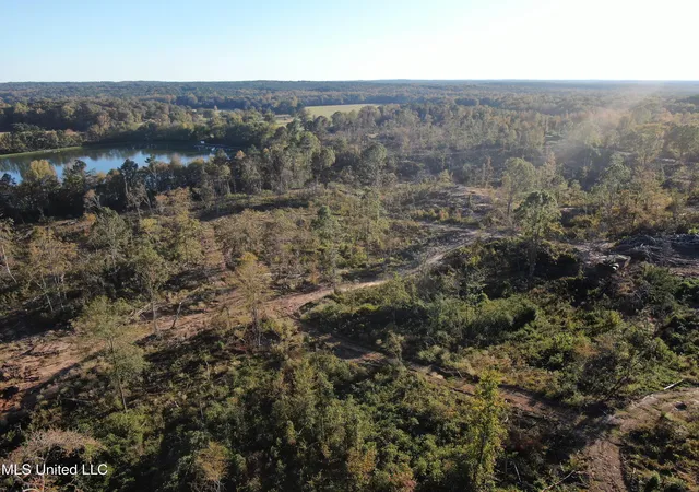 Homes for sale in Holly Springs, MS | 4 Marianna Rd, Holly Springs, MS 38635 | MLS# 4130523