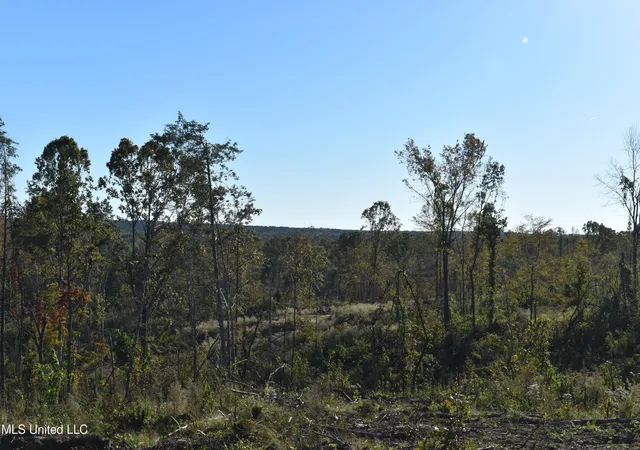 Homes for sale in Holly Springs, MS | 5 Marianna Rd, Holly Springs, MS 38635 | MLS# 4130524