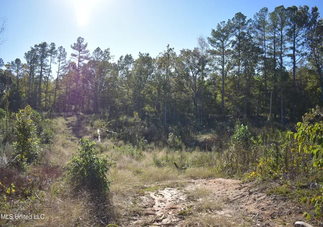 Homes for sale in Holly Springs, MS | 7 Marianna Rd, Holly Springs, MS 38635 | MLS# 4130526