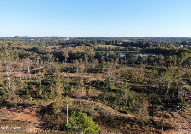 Homes for sale in Holly Springs, MS | 7 Marianna Rd, Holly Springs, MS 38635 | MLS# 4130526