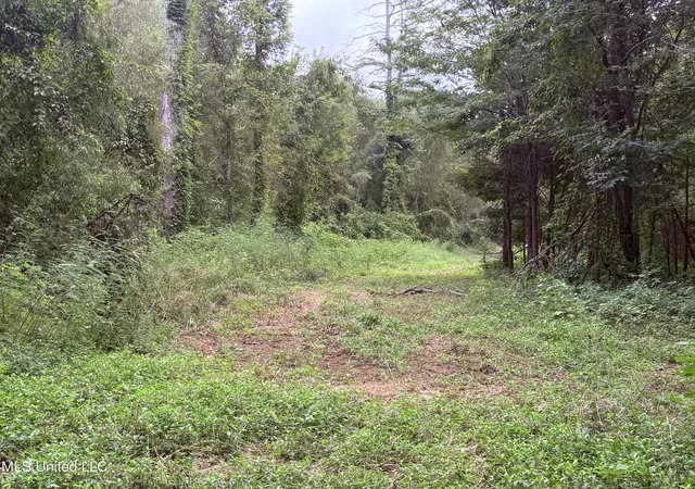 2nd image of Bourke Rd, Natchez, MS 39120 | MLS# 4131388