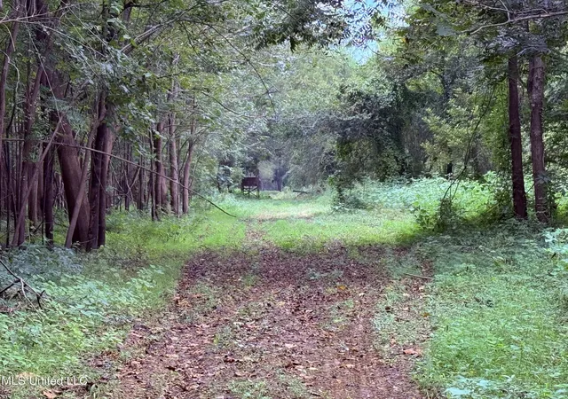 3rd image of Bourke Rd, Natchez, MS 39120 | MLS# 4131388