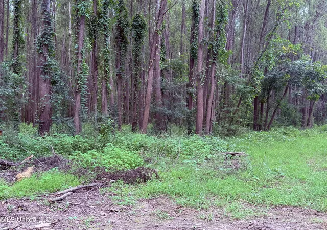 5th image of Bourke Rd, Natchez, MS 39120 | MLS# 4131388