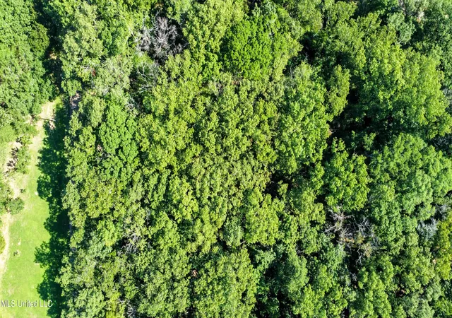 Photo 3 of Land for sale at 0 Lakeridge Ln, Clinton, MS 39056 | MLS# 4130729 | Listing updated on 2026-08-05