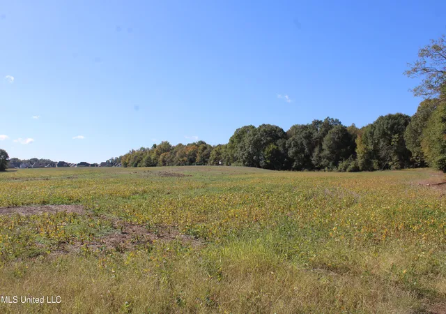 1st image of 14901 Desoto Rd, Olive Branch, MS 38654 | MLS# 4130735
