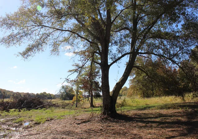 27th image of 14901 Desoto Rd, Olive Branch, MS 38654 | MLS# 4130735