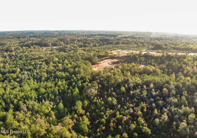 Homes for sale in Meridian, MS | Bolin Long Creek Rd, Meridian, MS 39301 | MLS# 4144216