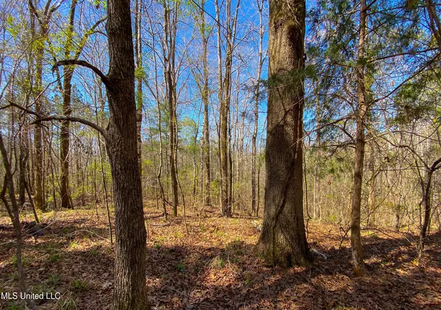 Photo 1 of Land for sale at 481 Ward Rd, Florence, MS 39073 | MLS# 4131416 | Listing updated on 2026-05-16
