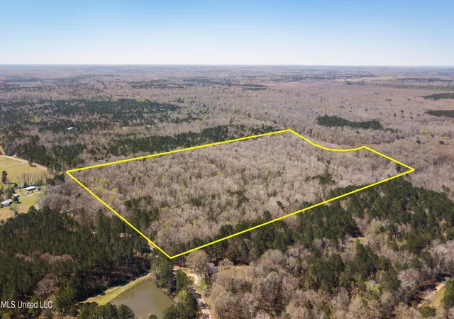 Photo 3 of Land for sale at 481 Ward Rd, Florence, MS 39073 | MLS# 4131416 | Listing updated on 2026-05-16