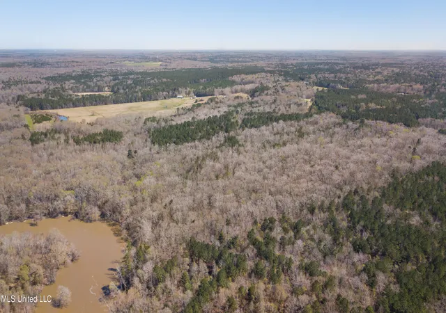 Photo 4 of Land for sale at 481 Ward Rd, Florence, MS 39073 | MLS# 4131416 | Listing updated on 2026-05-16