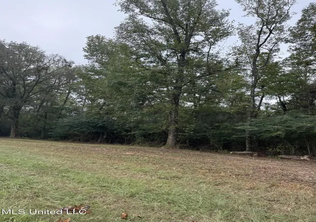 Homes for sale in Columbia, MS | 821 Columbia Purvis Rd, Columbia, MS 39429 | MLS# 4131563