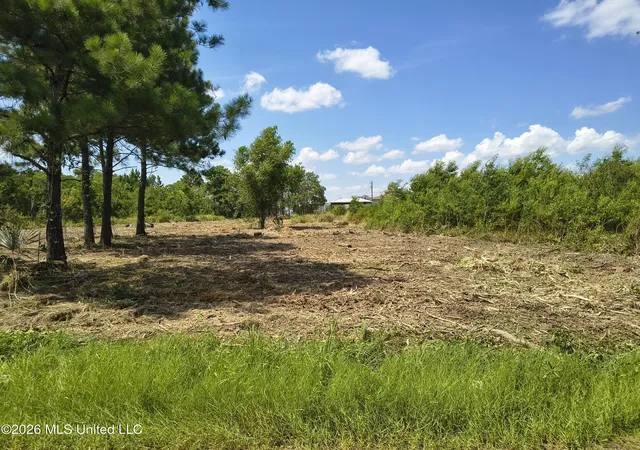 Homes for sale in Bay Saint Louis, MS | Nhn Bayou View Dr, Bay Saint Louis, MS 39520 | MLS# 4131590