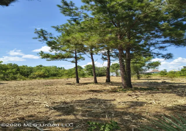 Homes for sale in Bay Saint Louis, MS | Nhn Bayou View Dr, Bay Saint Louis, MS 39520 | MLS# 4131590