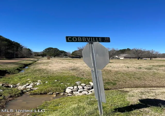 Photo 1 of Land for sale at Cobbville Rd, Canton, MS 39046 | MLS# 4131768 | Listing updated on 2026-08-13