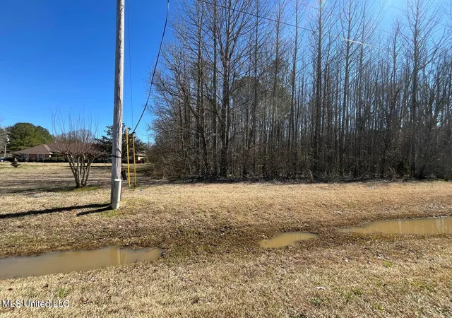 Photo 3 of Land for sale at Cobbville Rd, Canton, MS 39046 | MLS# 4131768 | Listing updated on 2026-08-13