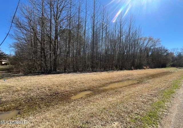 Photo 4 of Land for sale at Cobbville Rd, Canton, MS 39046 | MLS# 4131768 | Listing updated on 2026-08-13