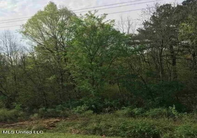 1st image of 0 Hwy 80, Jackson, MS 39201 | MLS# 4131915