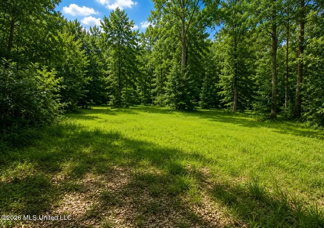 Photo 3 of Land for sale at Park Pl, Mc Comb, MS 39648 | MLS# 4132027 | Listing updated on 2026-08-19