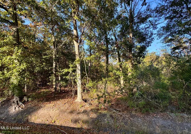 Photo 2 of Land for sale at Sycamore St, Bay Saint Louis, MS 39520 | MLS# 4132129 | Listing updated on 2026-03-30